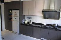 Contemporary Kitchen Cabinet